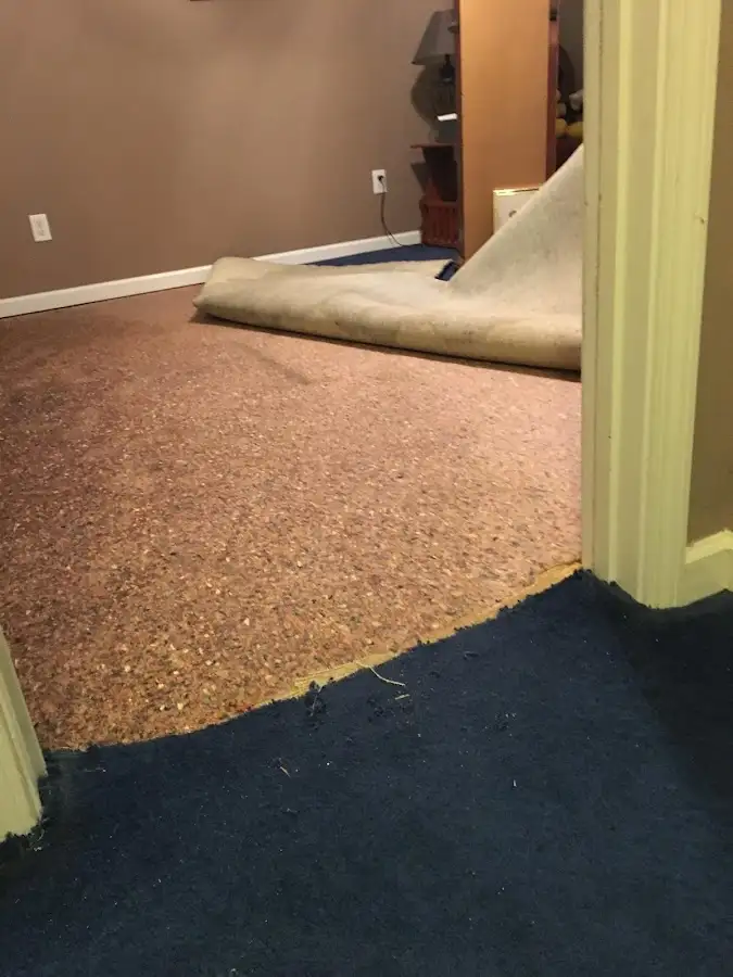 Carpet pad removal revealing water damage during Drying & Dehumidification in Steele Creek
