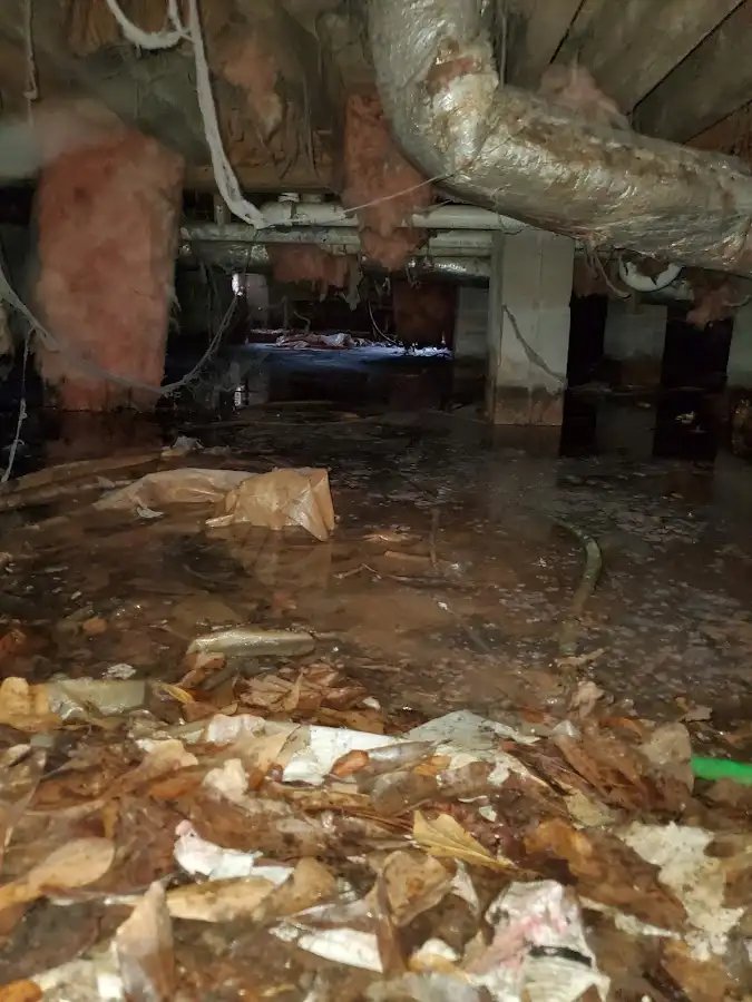 Crawl space flood assessment for Leak Detection & Repair in Steele Creek