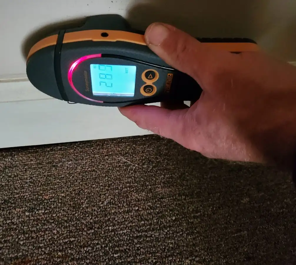 Moisture detection at baseboard during Sewage Cleanup & Sanitation in Steele Creek